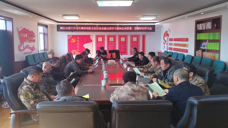 ４．１２南溝林場團(tuán)支部“誠信在崗 青年當(dāng)先”主題宣講活動(dòng) (3).jpg